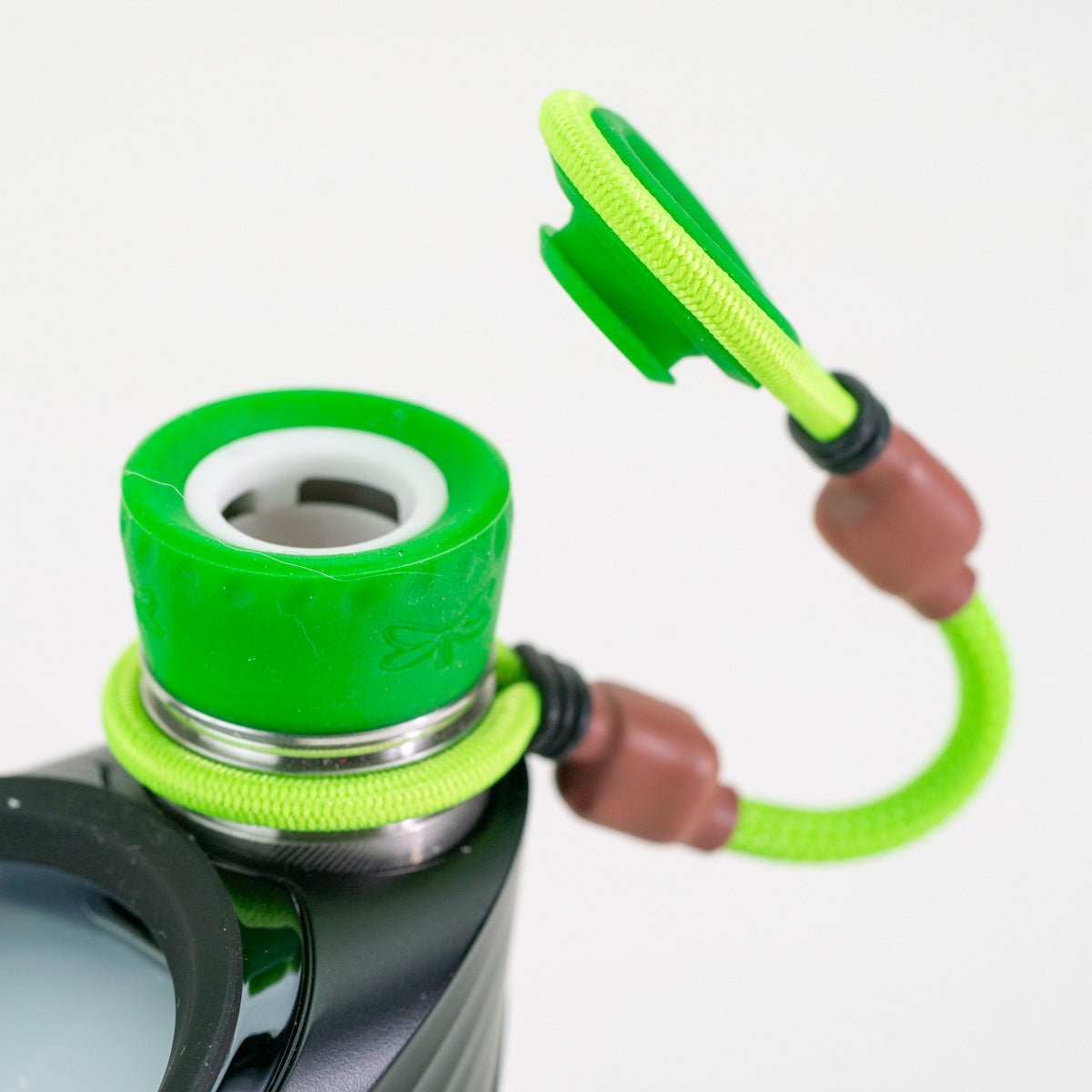 Green and brown attachment closeup on white background