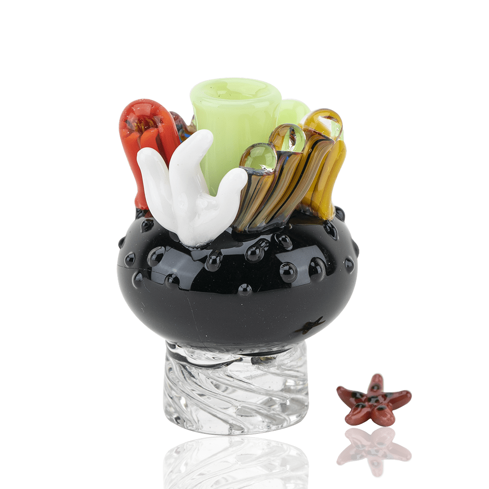 Empire Glassworks Coral Reef Spinner Cap