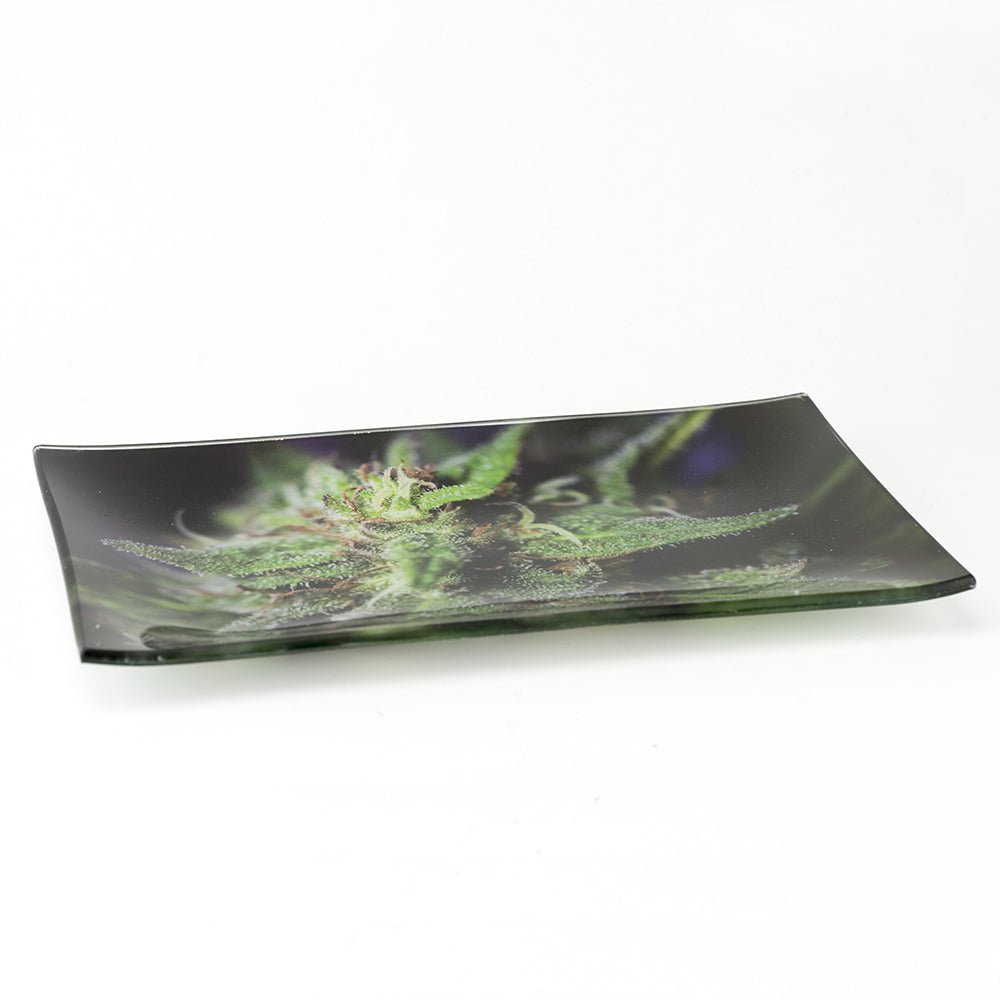 Medium Blue Dream Rolling Tray - Empire Smokes