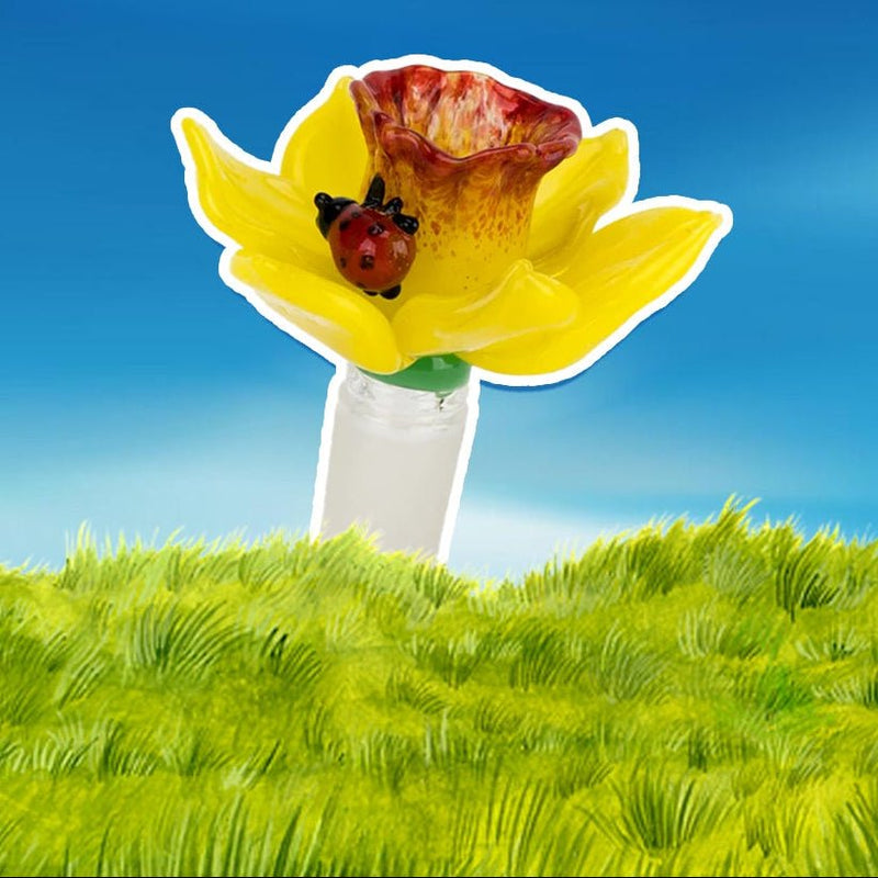 Spring Break Done Right: Tips for the New Season - Empire Smokes