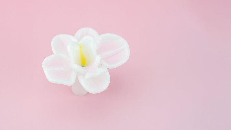 💐Best Cannabis Gifts for Mother’s Day 2025: The Ultimate Gift Guide for Weed-Loving Moms - Empire Smokes