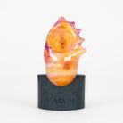 Macusi Seashell glass pipe on black branded stand on white background