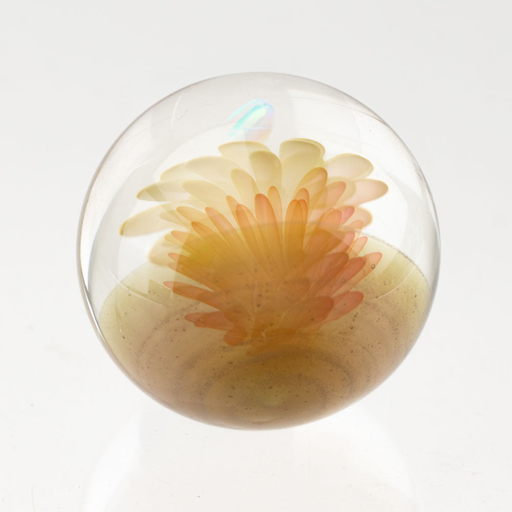 Sun Bloom Implosion Glass Marble Nes Glass @nesglass_619 Heady Glass